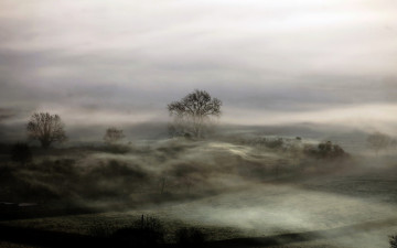 Картинка природа поля деревья утро туман