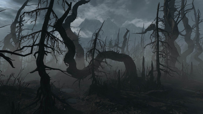 Обои картинки фото видео игры, the witcher 3,  wild hunt, деревья