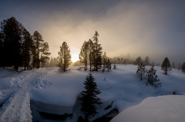 Обои картинки фото природа, зима, снег, утро