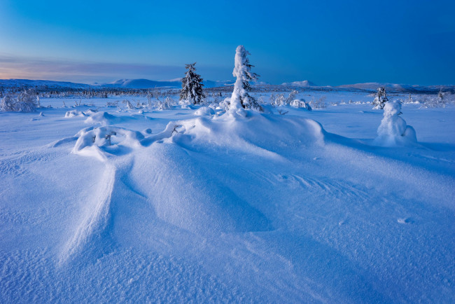 Обои картинки фото природа, зима, деревья, сугробы, снег, лапландия, швеция