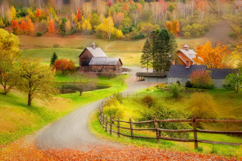 Картинка города -+пейзажи забор природа лес деревья дома осень
