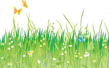 Картинка векторная+графика природа+ nature трава цветы