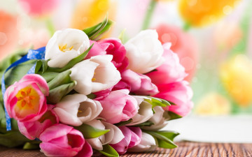 Картинка цветы тюльпаны белые розовые букет