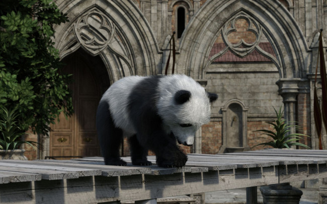 Обои картинки фото 3д графика, животные , animals, панда