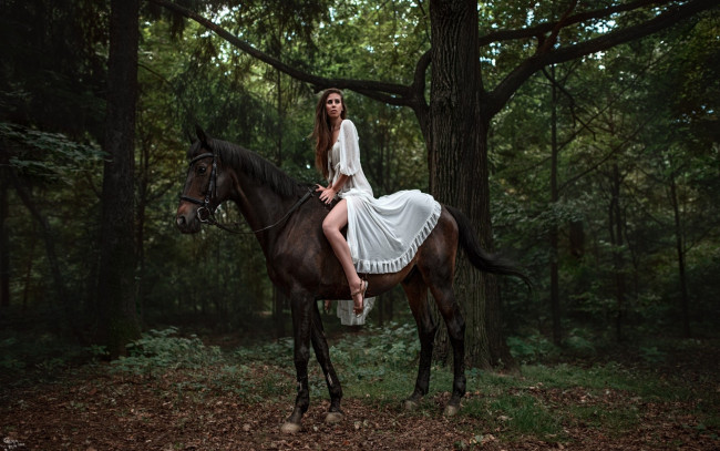 Обои картинки фото девушки, -unsort , брюнетки, темноволосые, девушка, лошадь