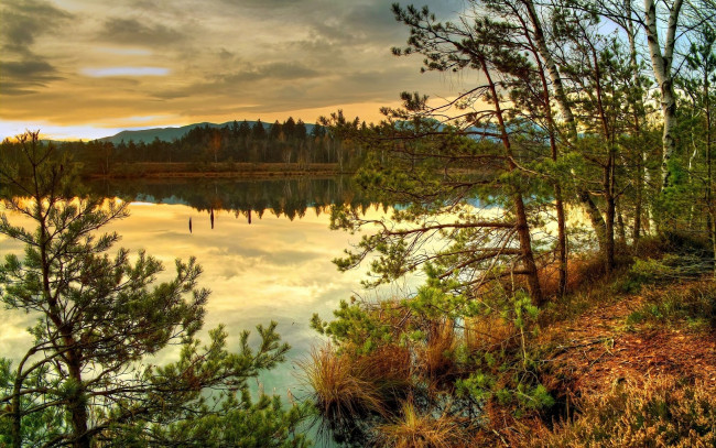 Обои картинки фото природа, реки, озера, осень, вода, озеро, деревья, лес