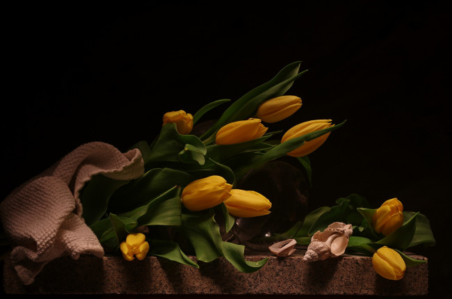 Обои картинки фото цветы, тюльпаны, букет, натюрморт