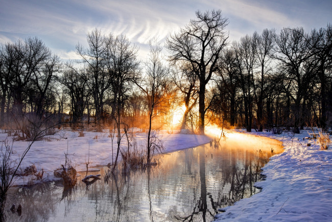 Обои картинки фото природа, реки, озера, река, отражение, следы, на, снегу, солнце, снег, ветки, деревья