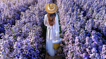 Картинка девушки -+брюнетки +шатенки шатенка шляпа цветы