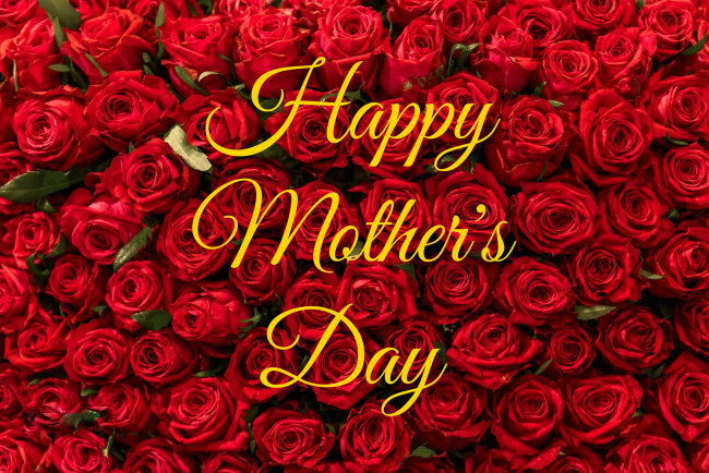 Обои картинки фото праздничные, день матери, алые, розы, много, надпись