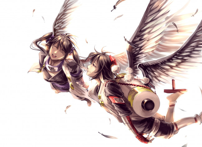 Обои картинки фото аниме, touhou, крылья, девушка, белый, фон, парень, полёт