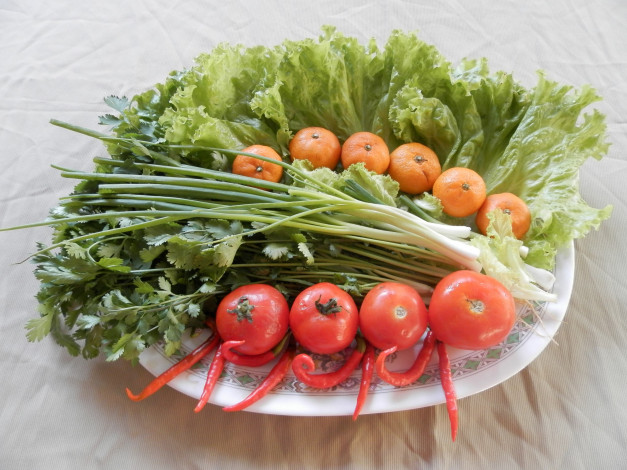 Обои картинки фото еда, фрукты и овощи вместе, зелень, помидоры, мандарины