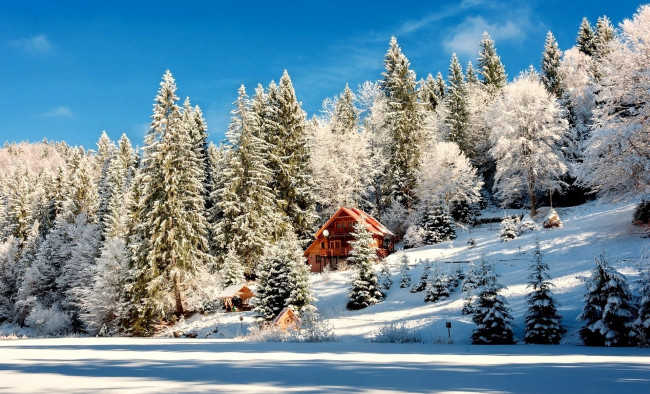 Обои картинки фото природа, зима, лес, небо, снег