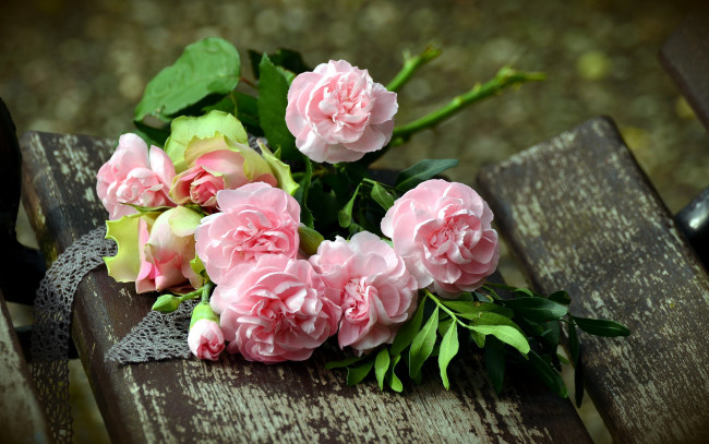 Обои картинки фото цветы, разные вместе, гвоздики, розы, розовый