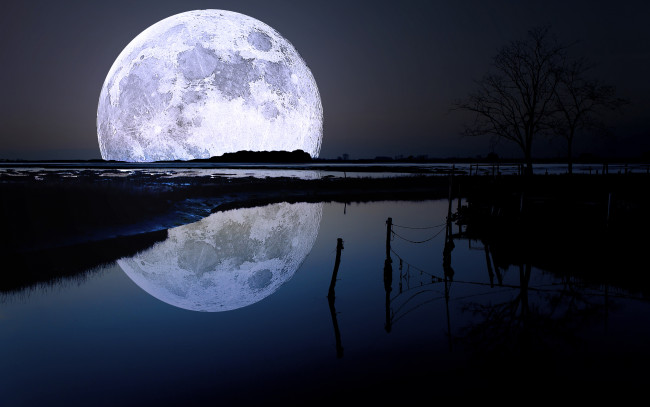 Обои картинки фото природа, реки, озера, ночь, луна, силуэты, река