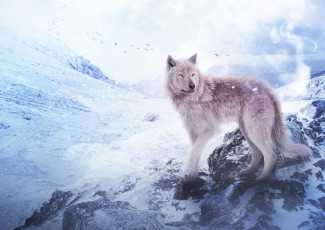 Картинка рисованное животные +волки горы волк снег by fiirewolf