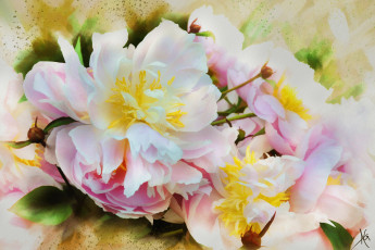 Картинка рисованное цветы пионы ярко живопись цветок розовый мазки лепестки пион бутоны картина рисованные белый
