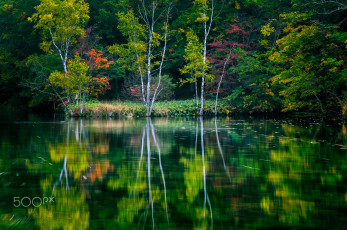 Картинка природа реки озера река вода деревья озеро