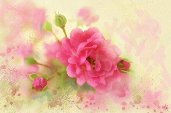 Картинка рисованное цветы нежно картина рисованные мазки живопись роза розовая лепестки рисунок п имитация акварели цифровая нарисованные бутоны