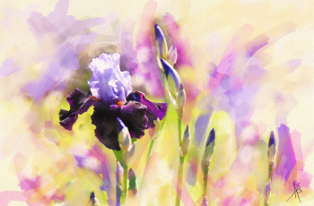 Картинка рисованное цветы мазки рисунок пастельные тона фиолетовый имитация акварели цифровая нарисованные рисованные ирисы картина бутоны живопись цветок