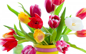 Картинка цветы тюльпаны ваза букет разноцветные