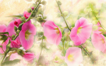 Картинка рисованное цветы имитация акварели нарисованные картина живопись рисованные нежно мазки розовые цифровая мальвы