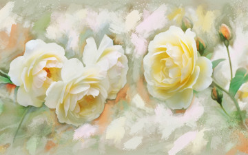 Картинка рисованное цветы рисунок цифровая белые розы имитация акварели нарисованные бутоны картина нежно рисованные живопись мазки