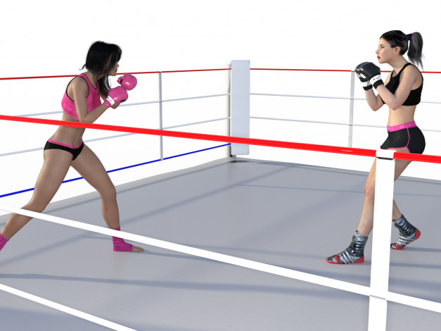 Обои картинки фото 3д графика, спорт , sport, бокс, фон, взгляд, девушки