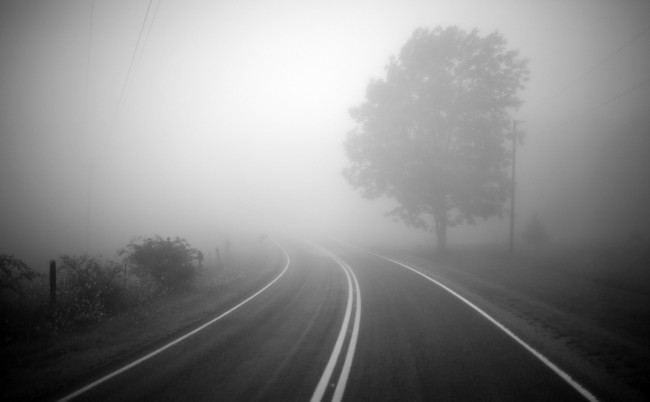 Обои картинки фото природа, дороги, дерево, трасса, обчина, шоссе, дорога, туман