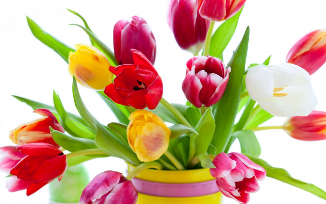 Обои картинки фото цветы, тюльпаны, ваза, букет, разноцветные