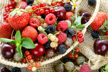 Картинка еда фрукты +ягоды вишня ежевика крыжовник клубника ягоды малина