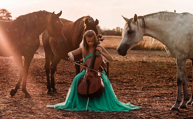 Обои картинки фото музыка, -другое, природа, конь, лошадь, виолончель, девушка