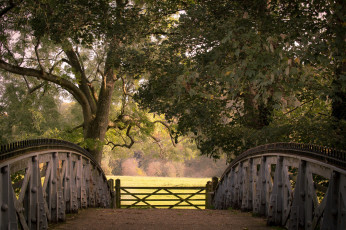 обоя природа, парк, cookham, lock