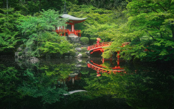 Картинка природа парк садик японский