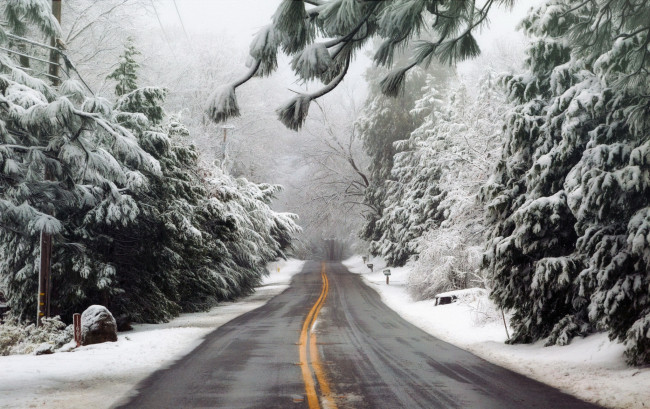 Обои картинки фото природа, дороги, дорога, лес, туман
