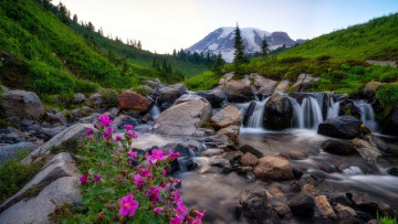 Картинка природа водопады гора камни водопад цветы