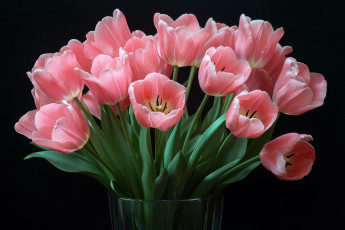 Картинка 3д+графика цветы+ flowers розовые тюльпаны