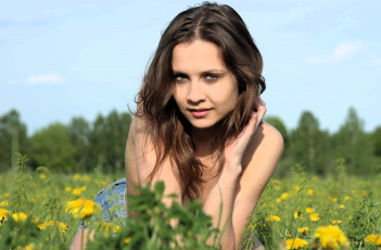 обоя девушки, - брюнетки,  шатенки, шатенка, шорты, луг, трава, цветы