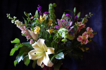 Картинка цветы букеты композиции лилии альстромерия