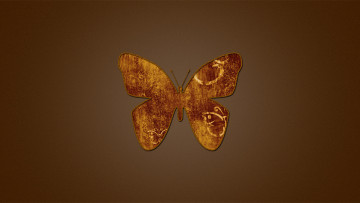 Картинка 3д графика animals животные бабочка