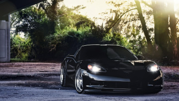 Картинка chevrolet corvette автомобили лес мост черный