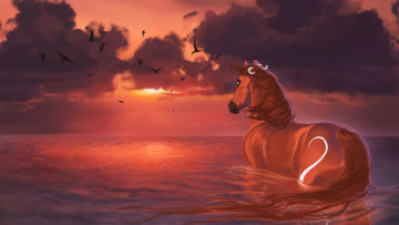 обоя рисованные, животные, лошади, burning, sky, лошадь, закат, вода, птицы, облака