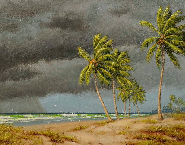 Обои картинки фото рисованные, albert, ernest, backus, тропический, шторм