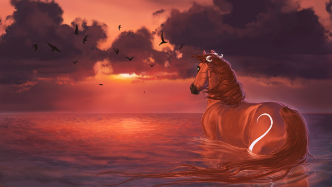Обои картинки фото рисованные, животные, лошади, burning, sky, лошадь, закат, вода, птицы, облака