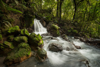 Картинка ketetahi stream tongariro national park new zealand природа водопады речка ручей камни лес поток новая зеландия