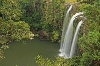 Картинка whangarei falls hatea river new zealand природа водопады водопад река лес