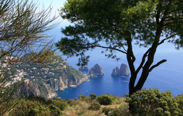 Картинка monte solara природа побережье панорама деревья бухта море скалы