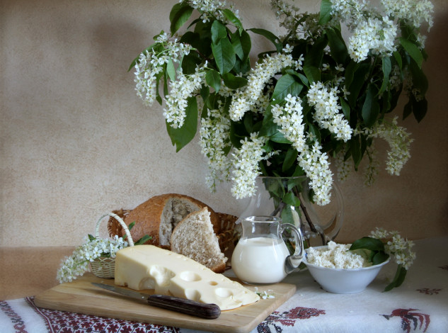 Обои картинки фото еда, натюрморт, черемуха, сыр, творог, молоко, хлеб