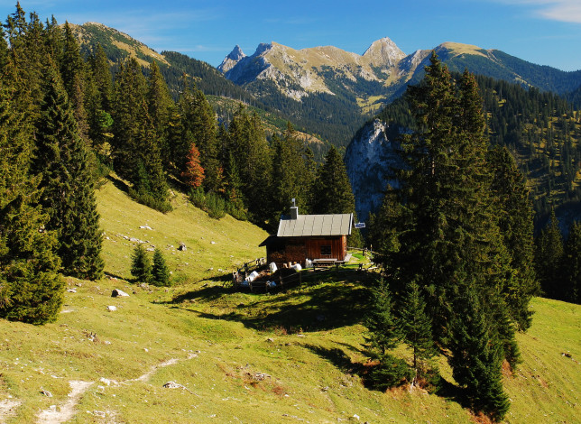 Обои картинки фото hohenschwangau, bavaria, природа, горы, лес, дом