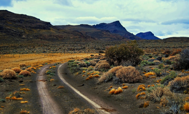 Обои картинки фото природа, дороги, пустыня, холмы, трава, кусты, колея